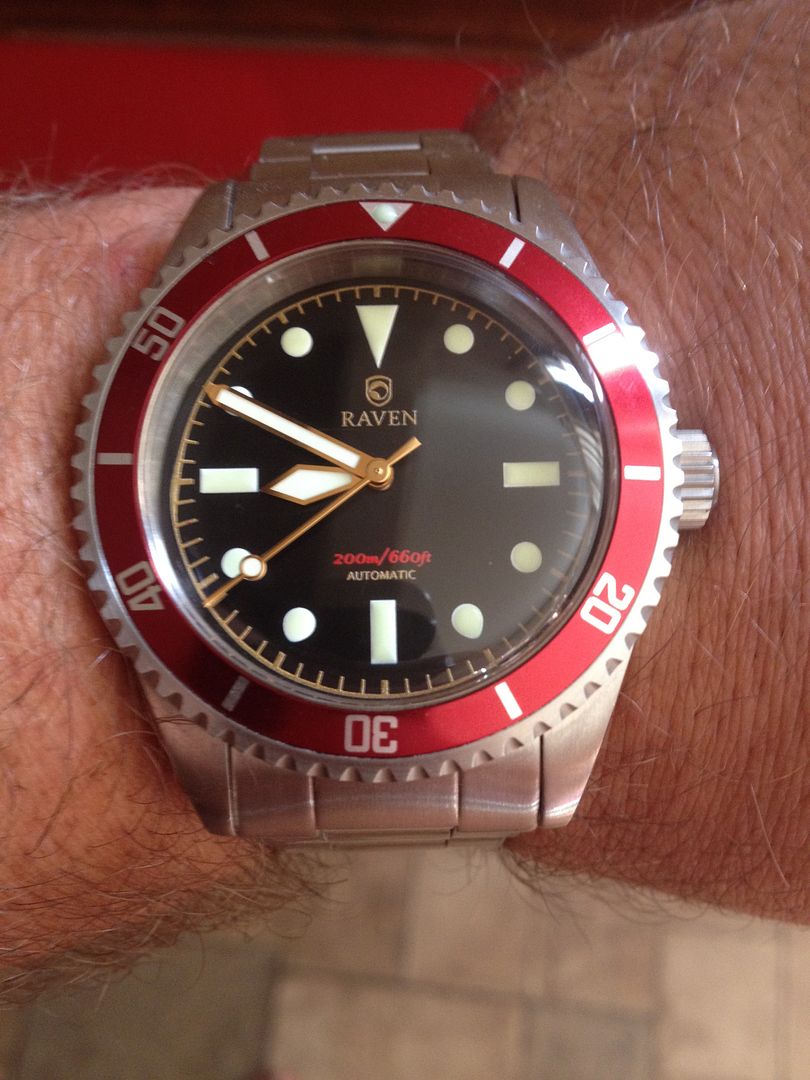 micro brand diver